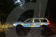 NEWS - Schwedischer Arzt entführt Frau als Sexsklavin