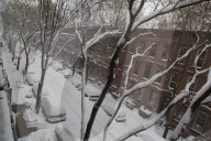 NEWS - Blizzard legt US-Ostküste lahm