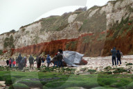 NEWS - Erneut tote Pottwale in England gestrandet
