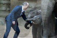 FEATURE - Kanja: Elefantentaufe im Tierpark Hagenbeck in Hamburg
