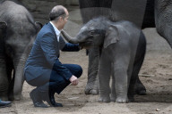 FEATURE - Kanja: Elefantentaufe im Tierpark Hagenbeck in Hamburg