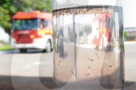 NEWS - Südamerika kämpft gegen den Zika Virus