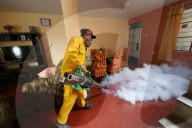 NEWS - Südamerika: Gifteinsatz gegen Zika-Virus