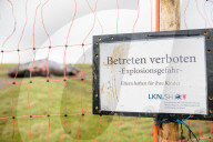 NEWS - Acht tote Pottwale bei Dithmarschen an der Nordsee gestrandet