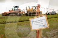 NEWS - Acht tote Pottwale bei Dithmarschen an der Nordsee gestrandet