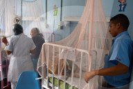 NEWS - Kampf gegen Zika-Virus in Südamerika