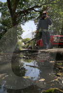 NEWS - Kampf gegen das Zika Virus in Südamerika