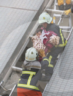 NEWS - Ein schweres Erdbeben erschüttert Taiwan