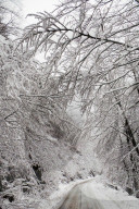 NEWS -  Wintereinbruch in Bulgarien