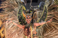 NEWS - In Rio de Janeiro hat der Karneval begonnen