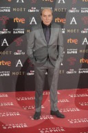 PEOPLE - Promis an den Goya Cinema Awards in Madrid 