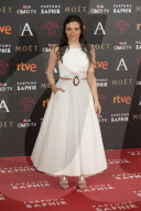 PEOPLE - Promis an den Goya Cinema Awards in Madrid 