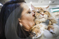 FEATURE - Katzenausstellung in Krakau