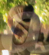 EXKLUSIV - Blake Griffin nachts mit verletzter Hand unterwegs