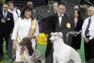 FEATURE - Westminster Kennel Club - Best in Show in New York