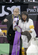 FEATURE - Westminster Kennel Club - Best in Show in New York
