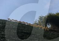 FEATURE - Drachentanz in der Teeplantage in China