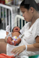 NEWS - Zika-Virus: Forschung und Bekämpfung