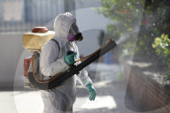 NEWS - Zika-Virus: Forschung und Bekämpfung