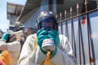 NEWS - Zika-Virus: Forschung und Bekämpfung