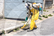 NEWS - Zika-Virus: Forschung und Bekämpfung