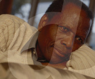 PORTRAIT - Sidney Poitier
