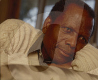 PORTRAIT - Sidney Poitier