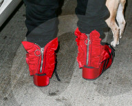 PEOPLE - Lady Gaga reist zusammen mit ihre Hunde Asia und Koji