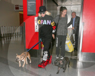 PEOPLE - Lady Gaga reist zusammen mit ihre Hunde Asia und Koji