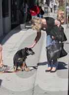 PEOPLE - Happy Dog wird von Katherine Heigl gekrault