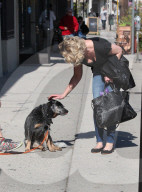 PEOPLE - Happy Dog wird von Katherine Heigl gekrault
