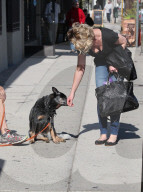 PEOPLE - Happy Dog wird von Katherine Heigl gekrault