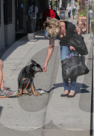 PEOPLE - Happy Dog wird von Katherine Heigl gekrault
