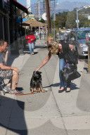 PEOPLE - Happy Dog wird von Katherine Heigl gekrault