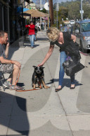 PEOPLE - Happy Dog wird von Katherine Heigl gekrault