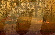 NEWS - Buschfeuer im australischen Mount Bolton