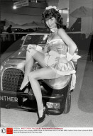 PEOPLE - Auto Show: Don't miss the Models!