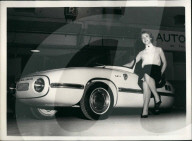 PEOPLE - Auto Show: Don't miss the Models!