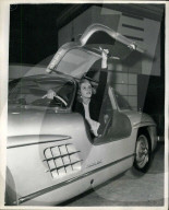 PEOPLE - Auto Show: Don't miss the Models!