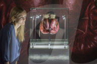 NEWS -  'I Am The Greatest: Muhammad Ali' Ausstellung in London