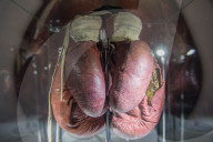 NEWS -  'I Am The Greatest: Muhammad Ali' Ausstellung in London