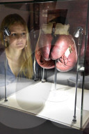 NEWS -  'I Am The Greatest: Muhammad Ali' Ausstellung in London