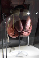 NEWS -  'I Am The Greatest: Muhammad Ali' Ausstellung in London