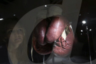 NEWS -  'I Am The Greatest: Muhammad Ali' Ausstellung in London