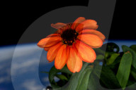 FEATURE - Astronaut Scott Kelly's besten Bilder aus dem All