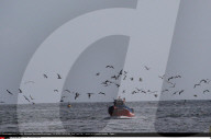 NEWS - Thunfischfang in Spanien
