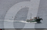 NEWS - Thunfischfang in Spanien