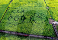 FEATURE - Japanische Comicfigur Doraemon ins Rapsfeld gestampft