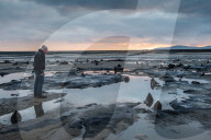 FEATURE - Skurrile Landschaft: Versteinerte Bäume am Strand von Wales