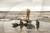 FEATURE - Skurrile Landschaft: Versteinerte Bäume am Strand von Wales